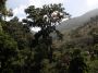 CostaRica06 - 221